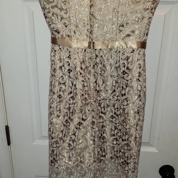 Cache Strapless Gold Midi Embroidered Dress - Picture 8 of 10